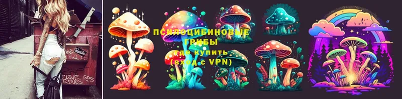 Псилоцибиновые грибы MAGIC MUSHROOMS  Бакал 